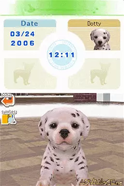 Image n° 3 - screenshots : Nintendogs - Dalmatian & Friends